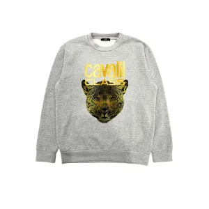 Cavalli Class Gray Polyester Men Sweater