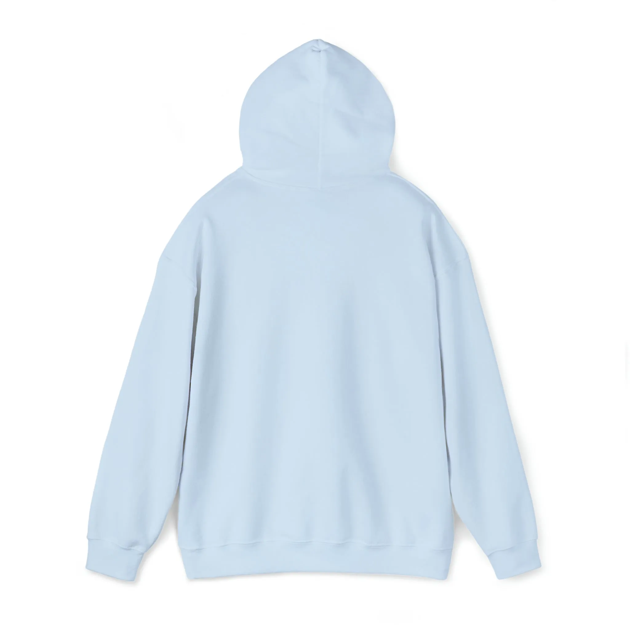 Certified Crystal and Sound Healer Hoodie