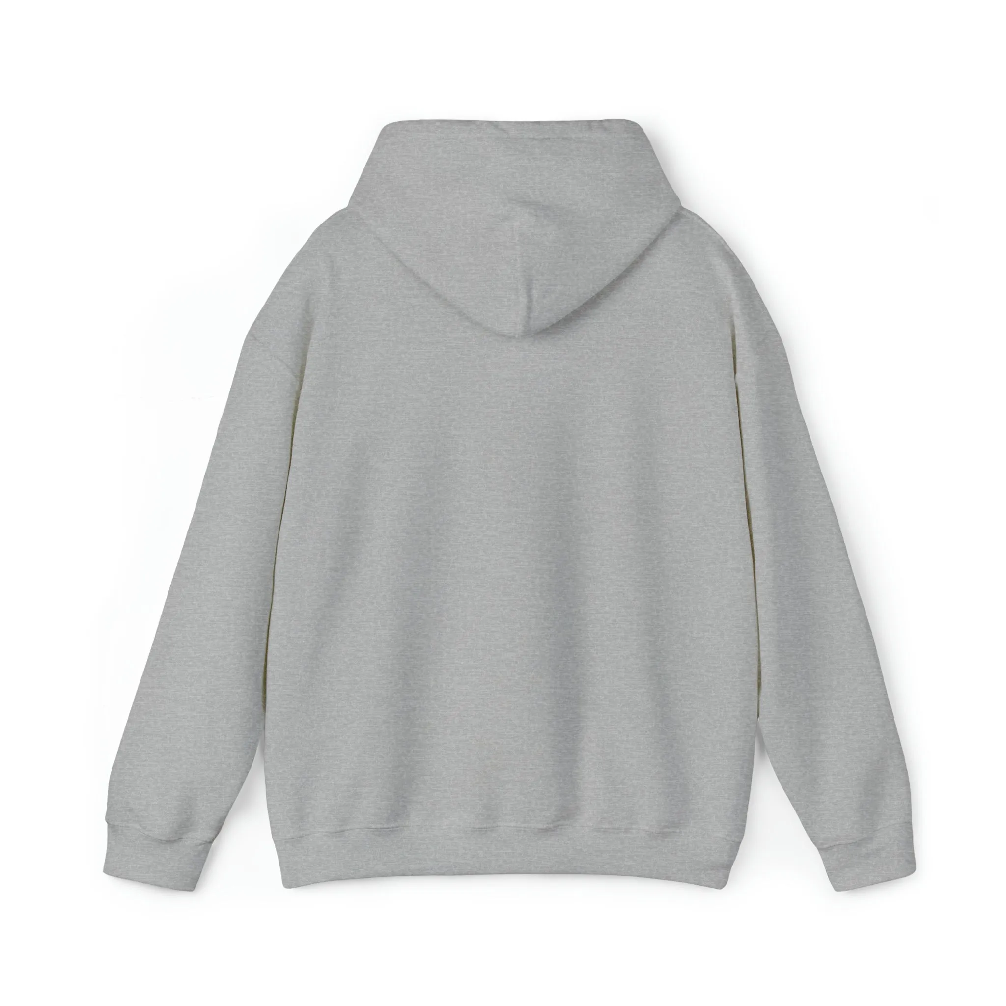 Certified Crystal and Sound Healer Hoodie