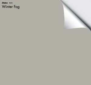 Dulux Winter Fog