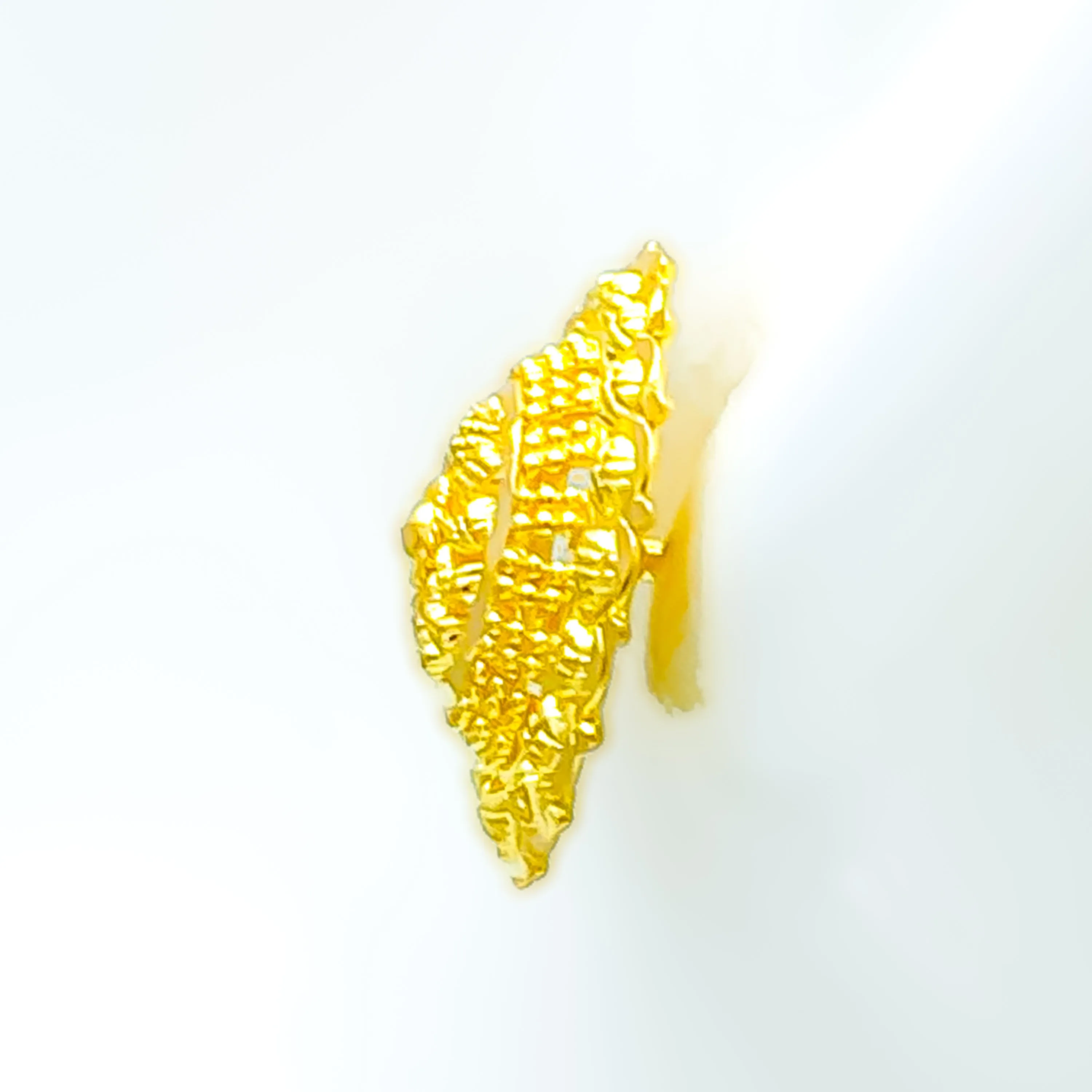 Fashionable Lush 22k Gold Earrings