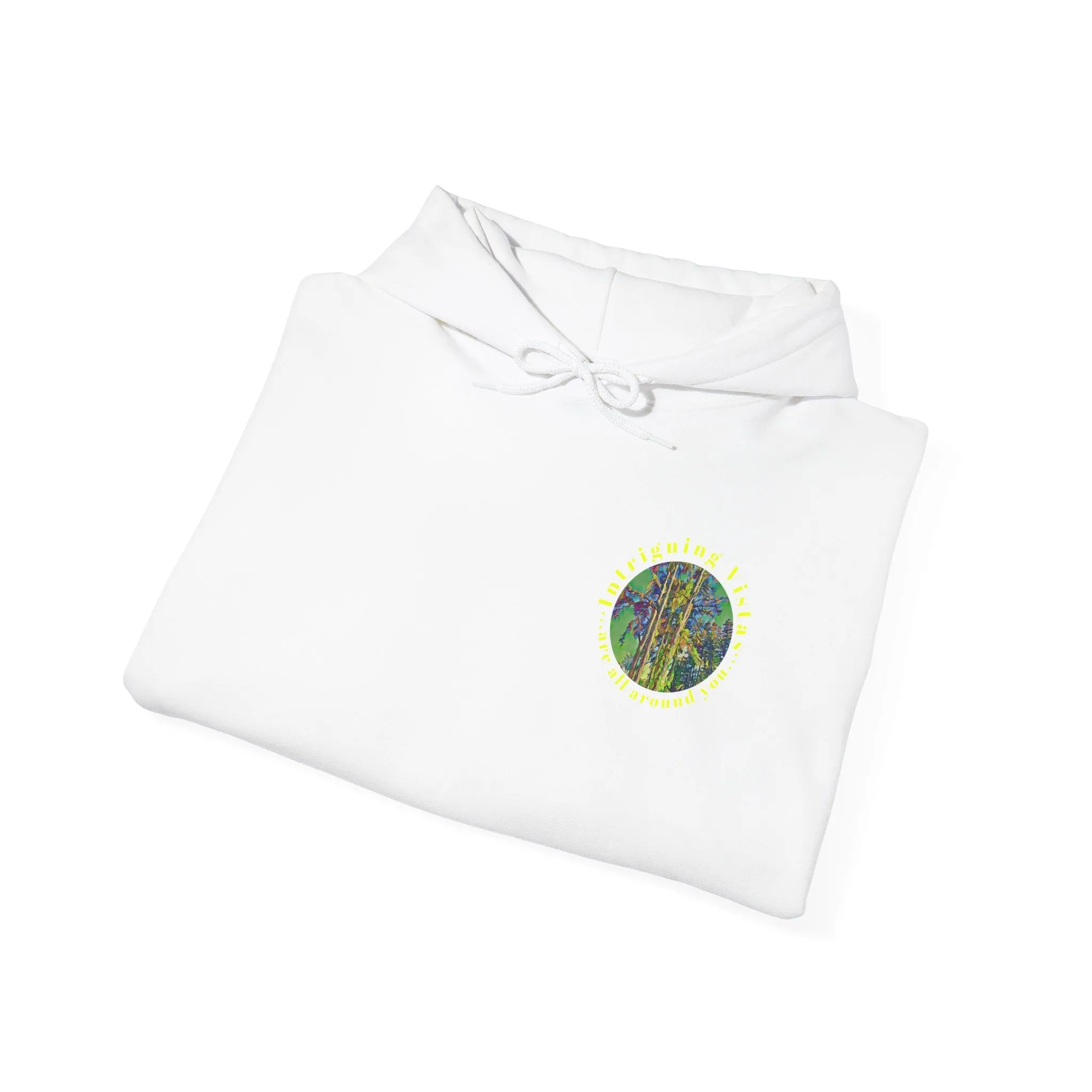 Gildan 18500 Unisex Adult Heavy Blend Crewneck Hooded Sweatshirt from the Scenery Series at Intriguing Vistas