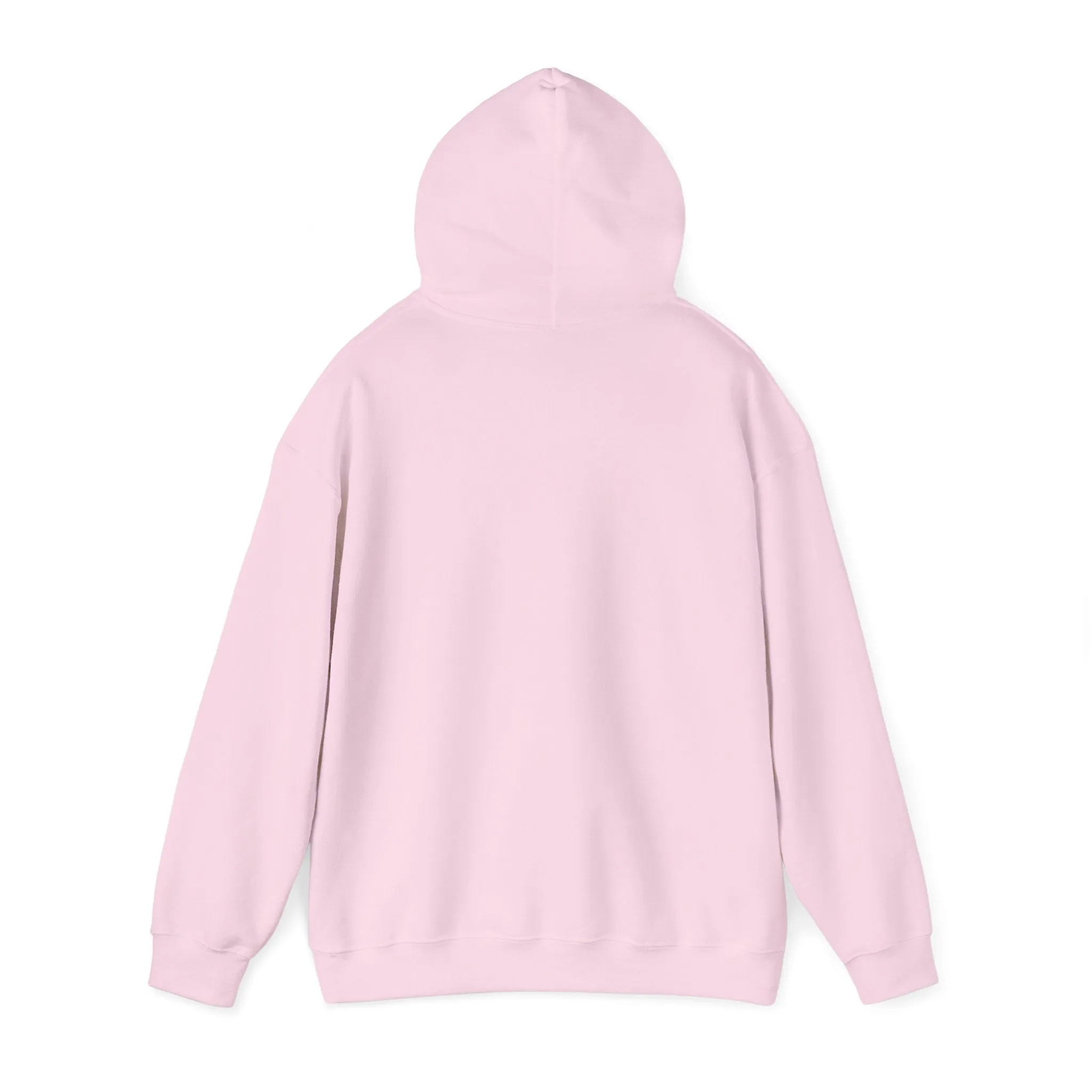 La Celeste S.C Unisex Heavy Blend™ Hooded Sweatshirt