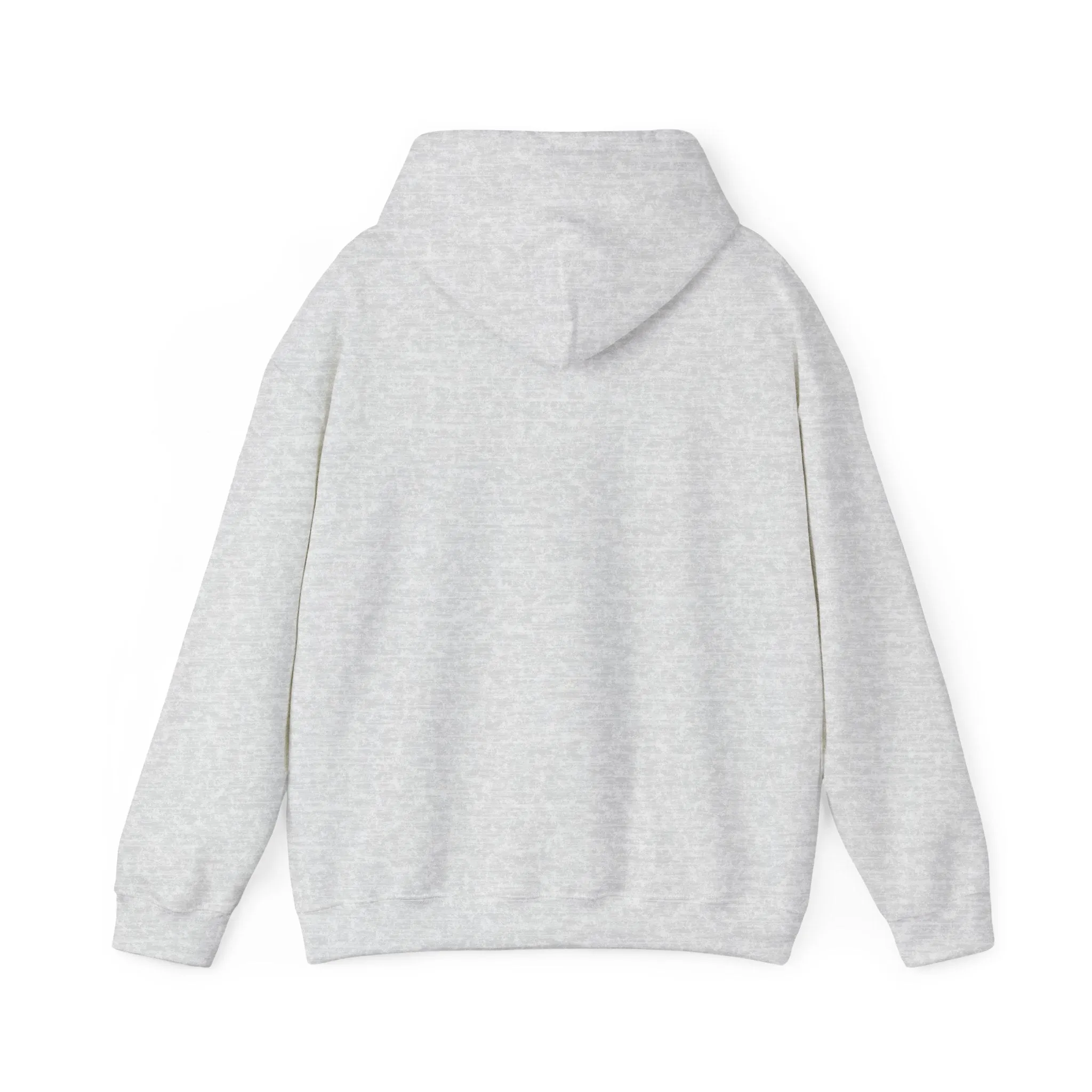 La Celeste S.C Unisex Heavy Blend™ Hooded Sweatshirt