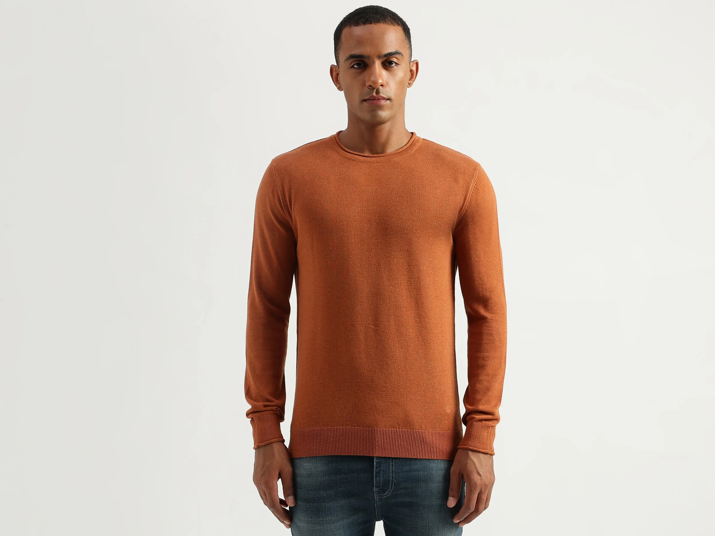 Men's Regular Fit Round Neck Solid Sweaters