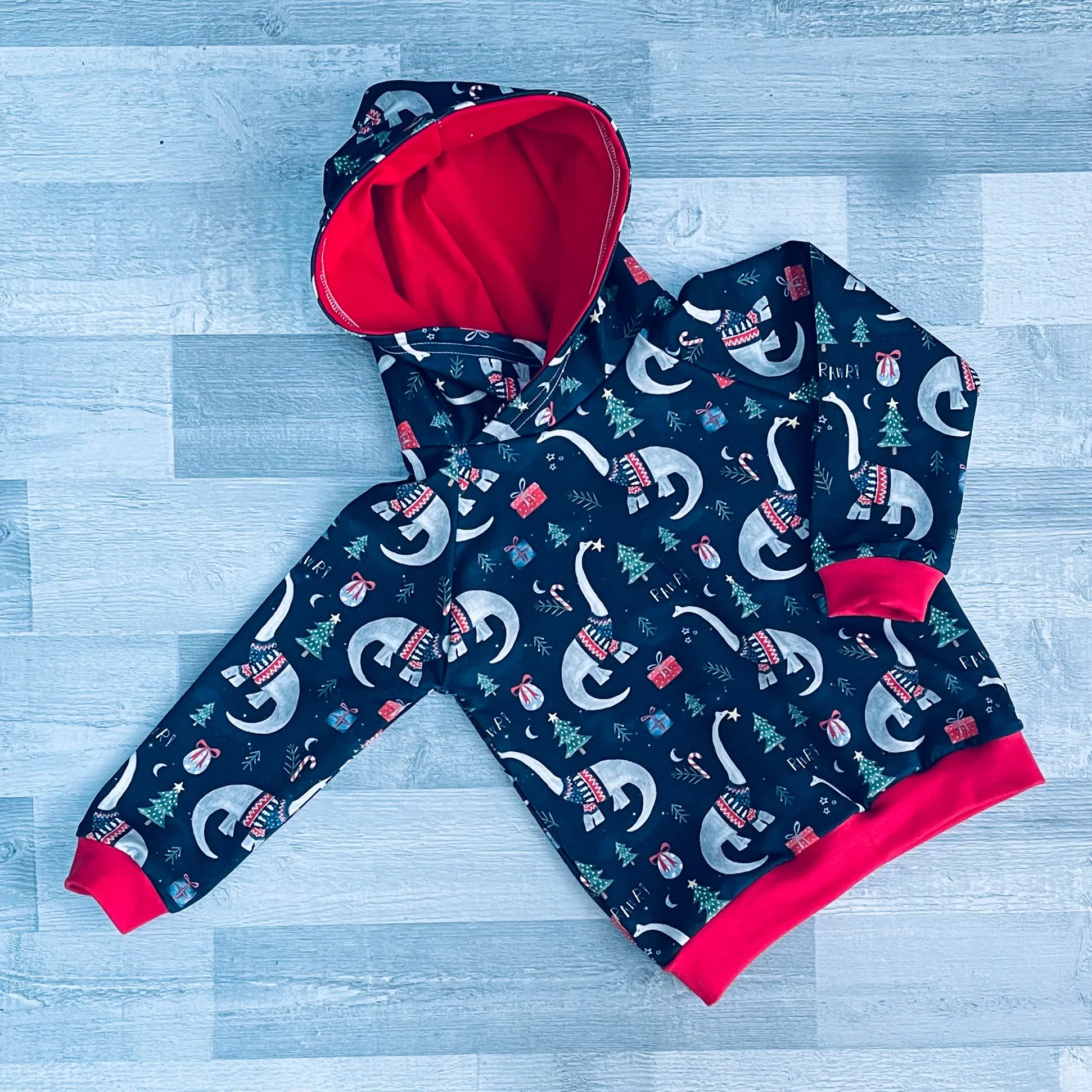Navy Dinosaurs Hoodie