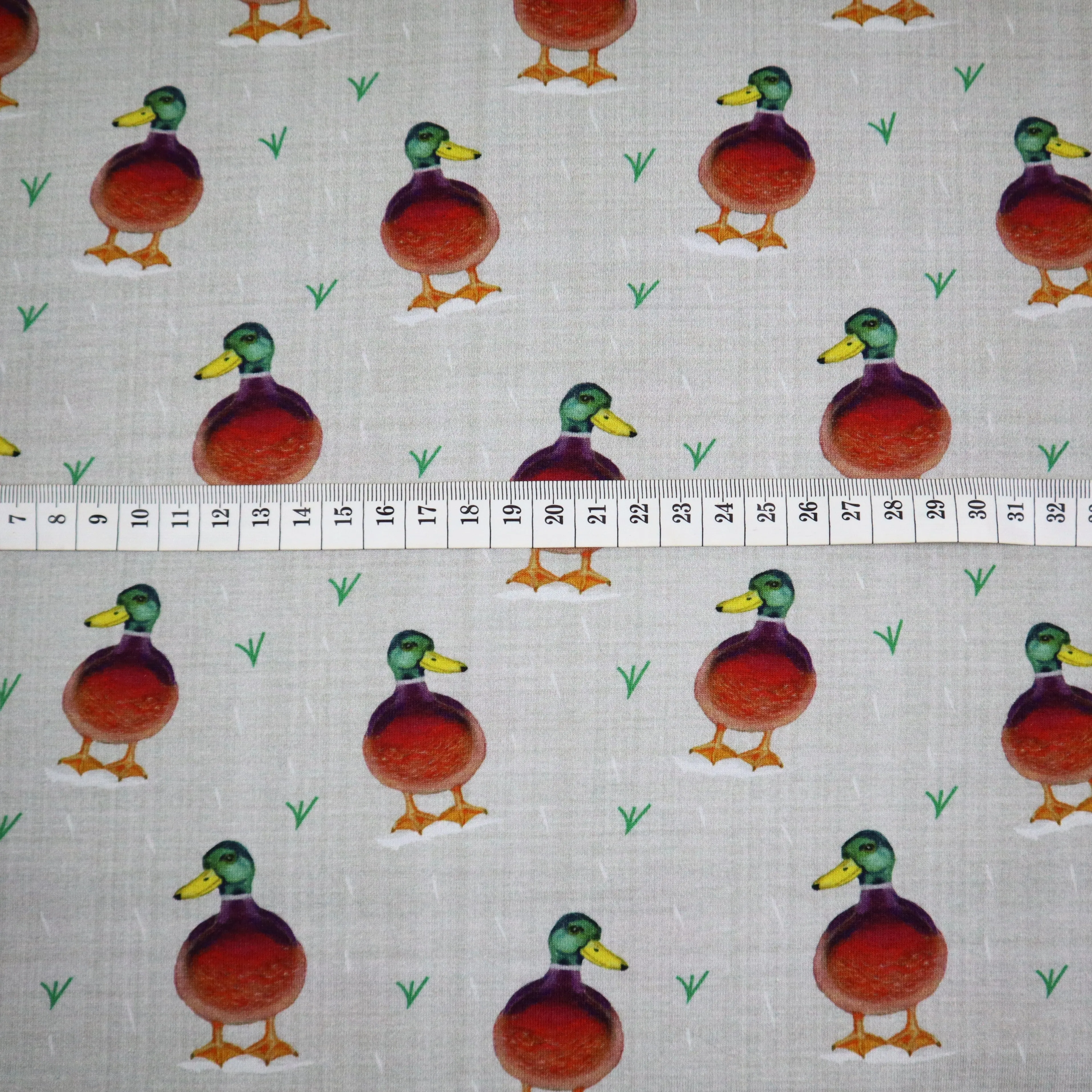 SALE Organic Cotton Jersey in Duck Print