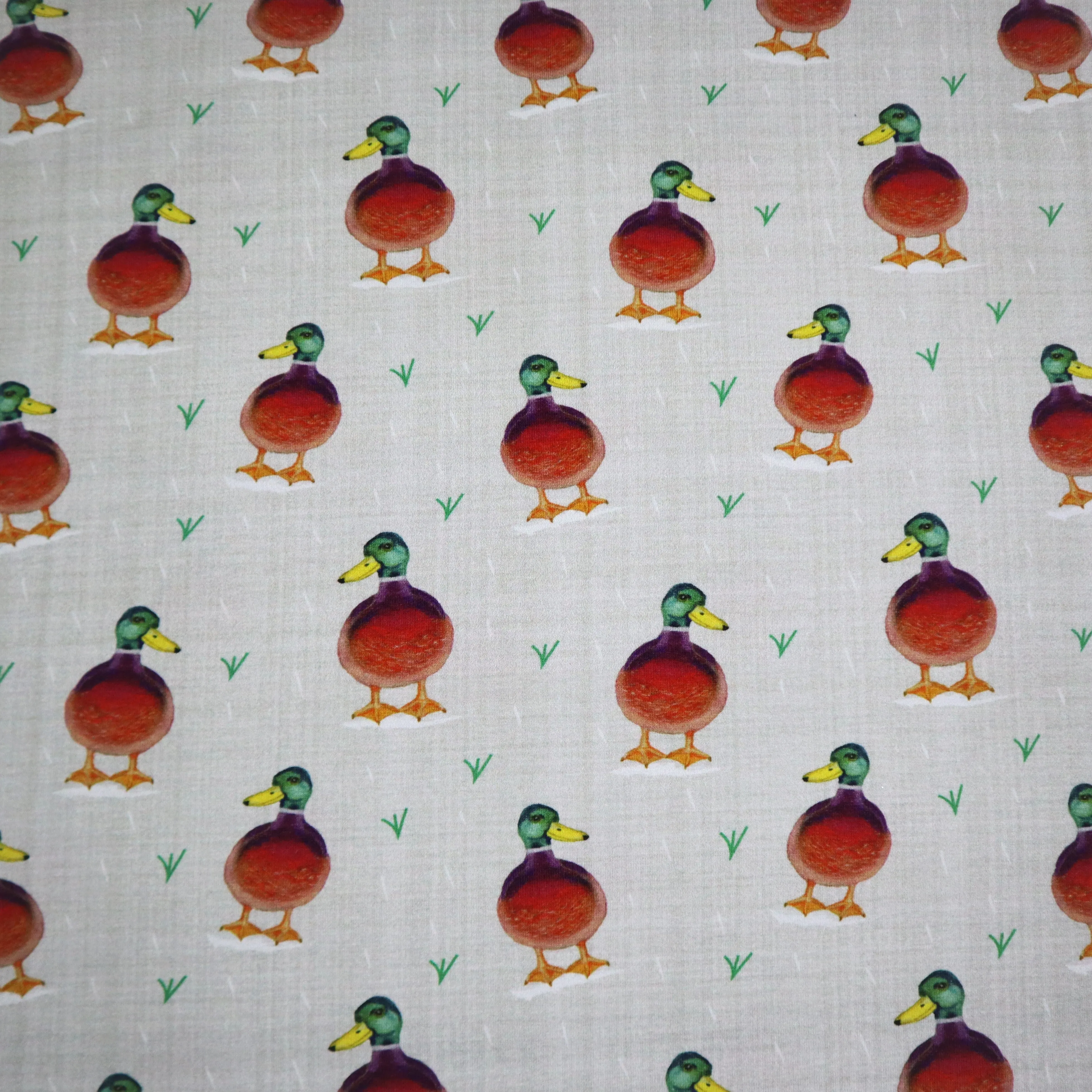 SALE Organic Cotton Jersey in Duck Print