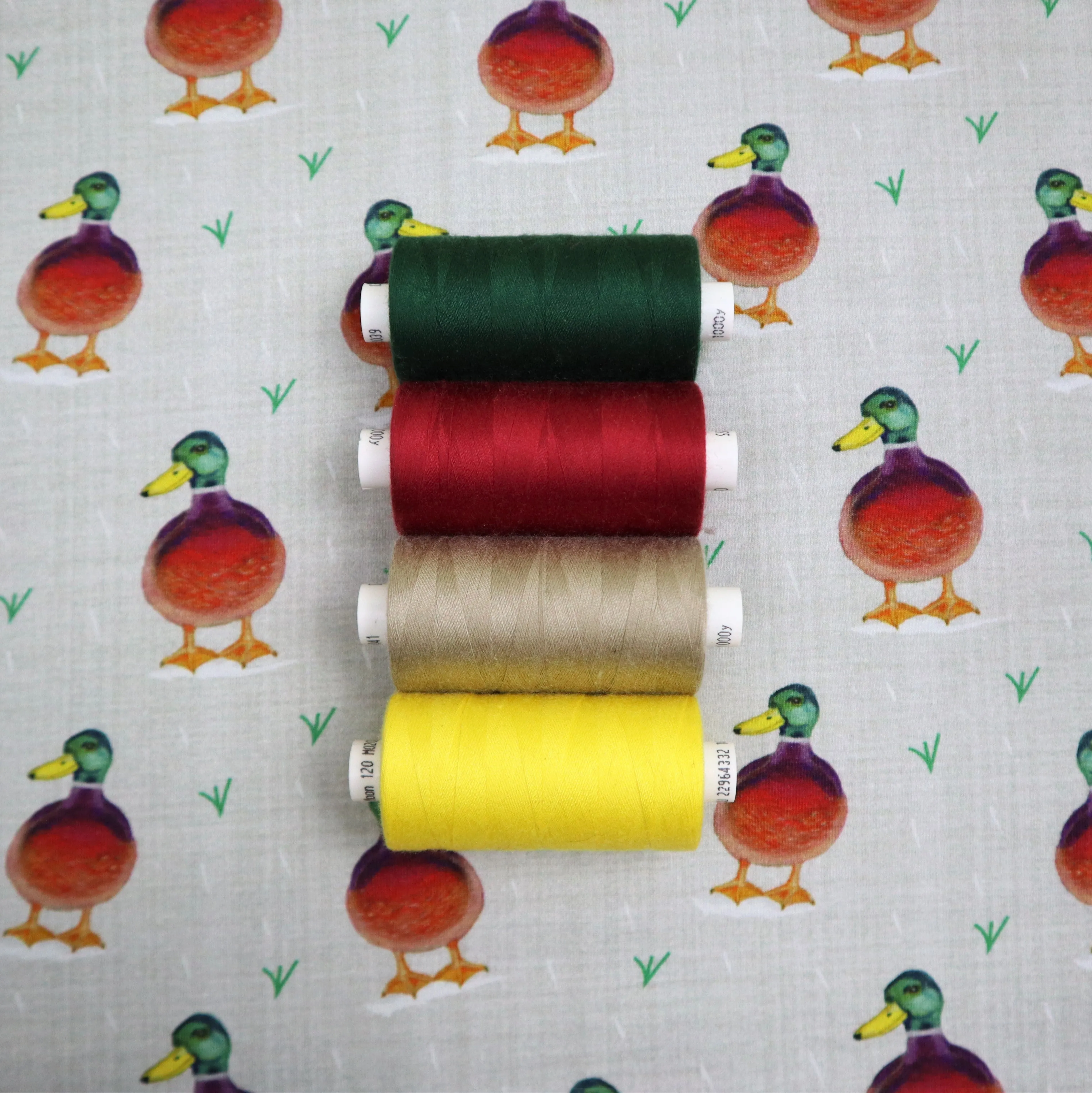 SALE Organic Cotton Jersey in Duck Print