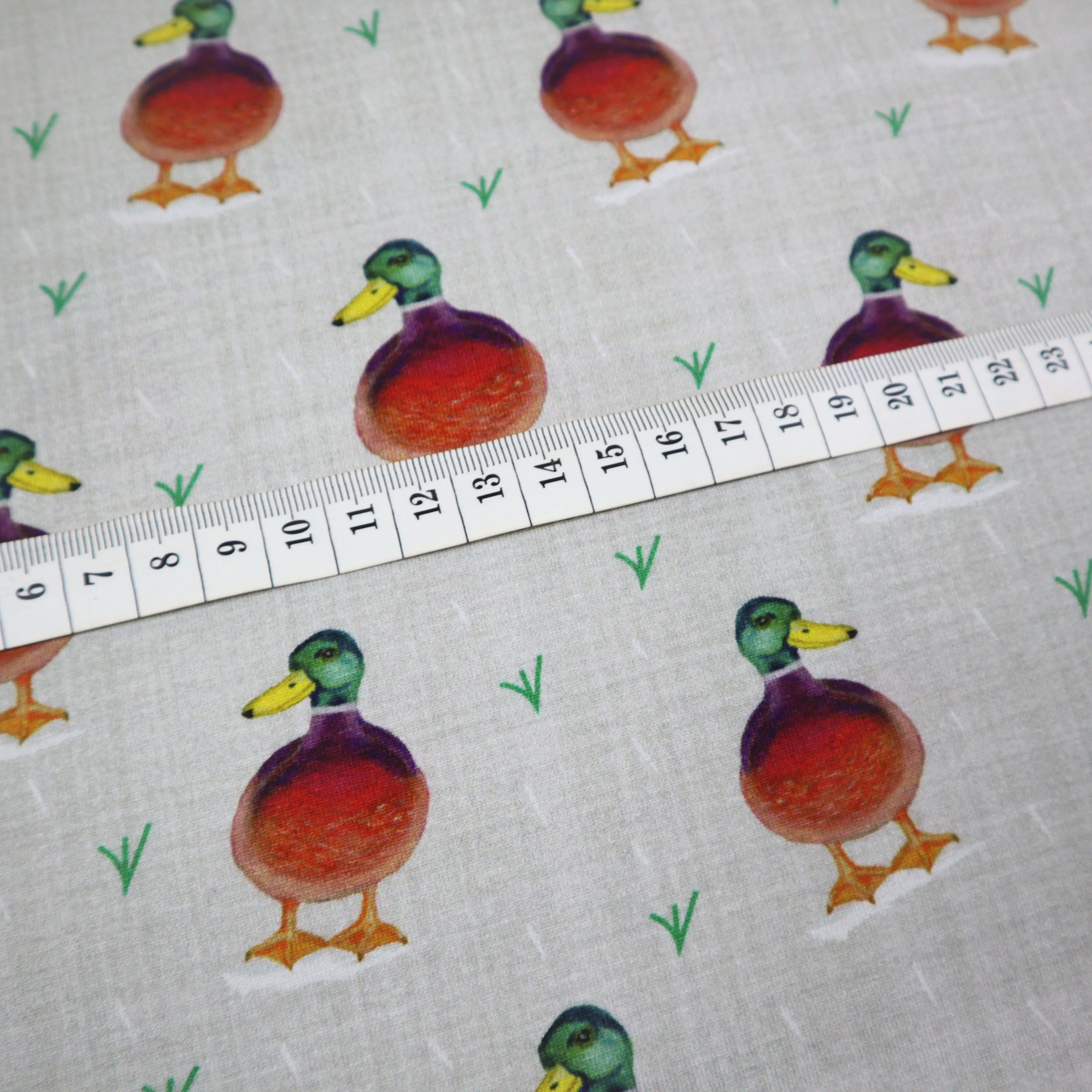 SALE Organic Cotton Jersey in Duck Print