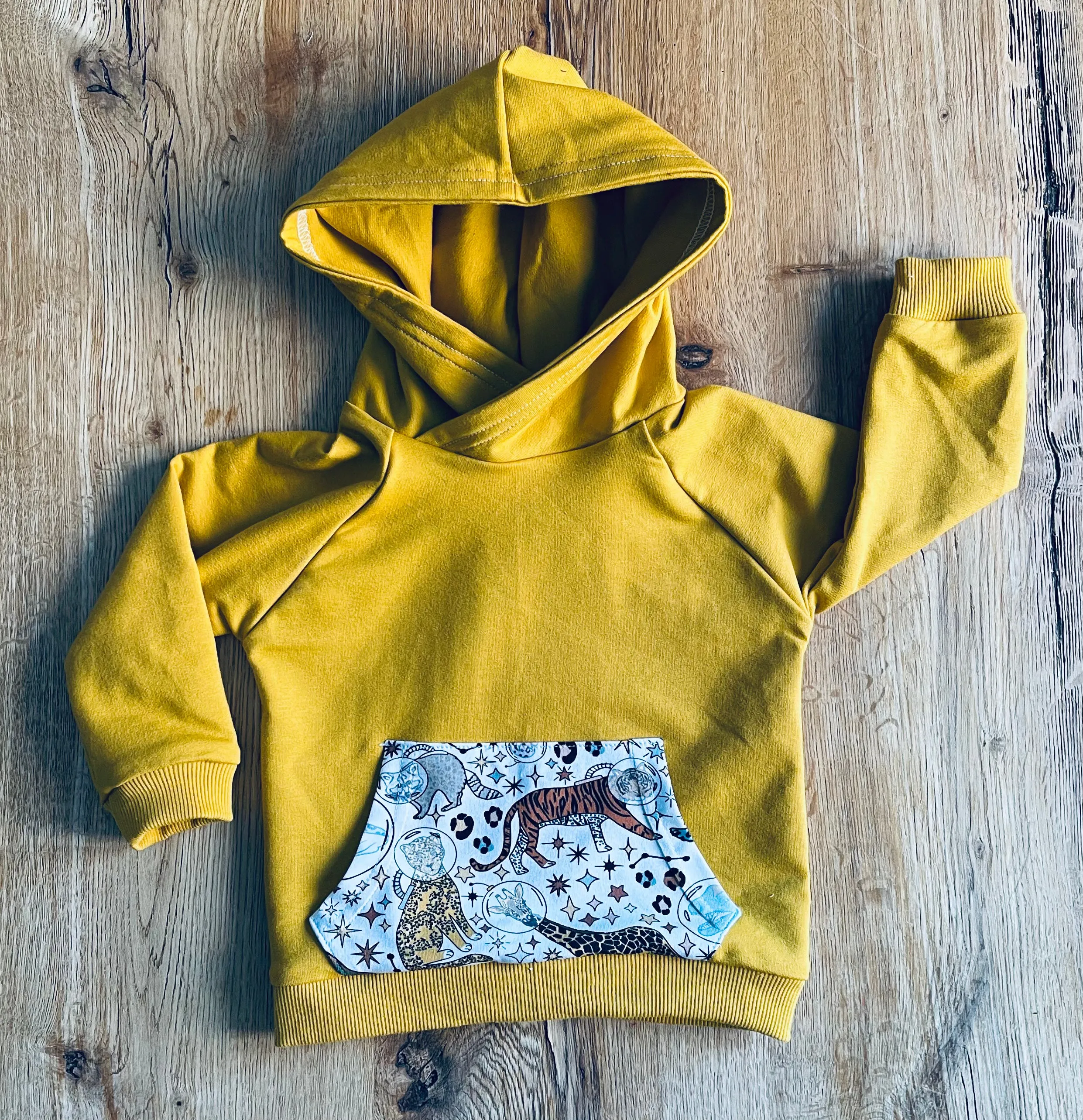 Space Animals Hoodie - 6/12 Months