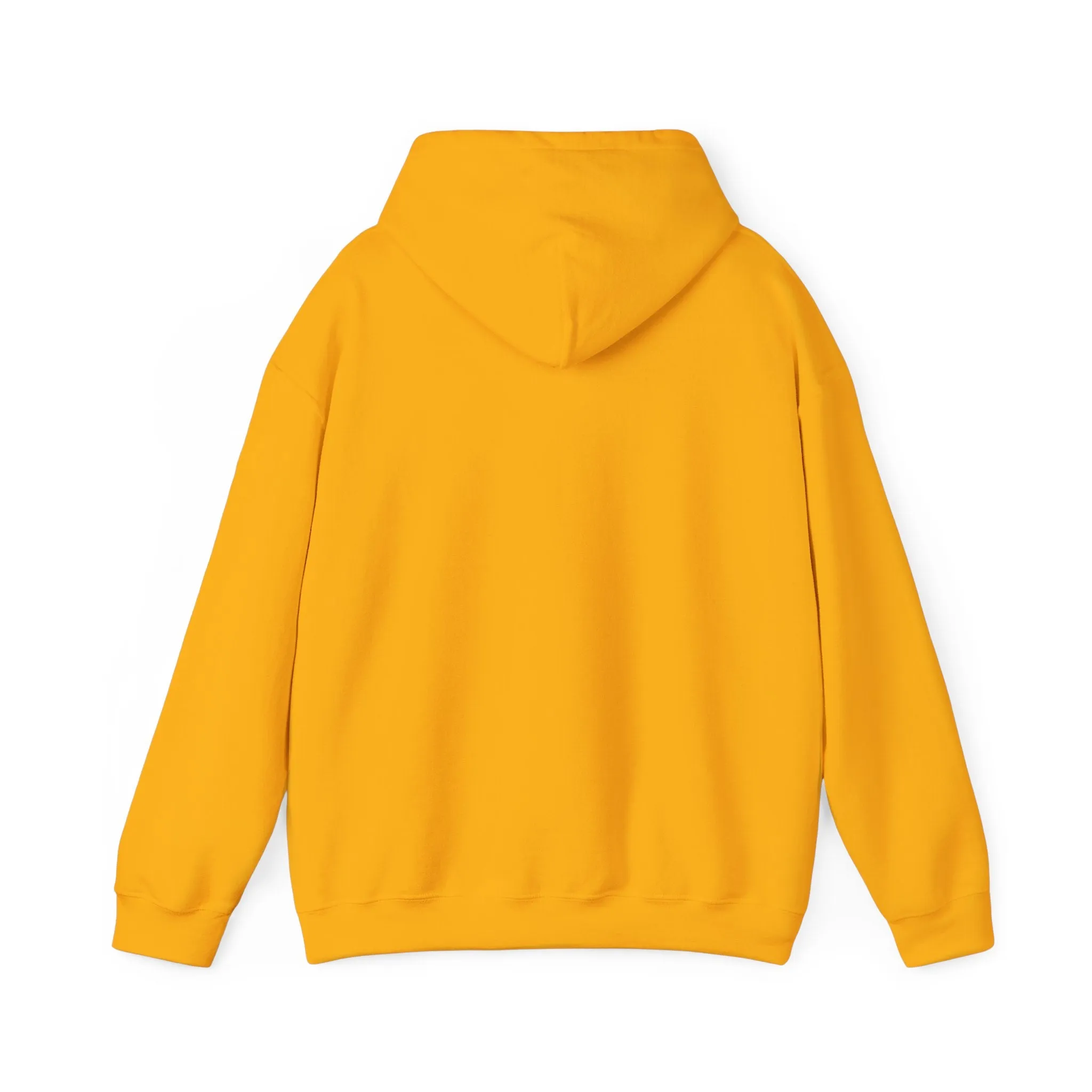 Spirit Said Hoodie