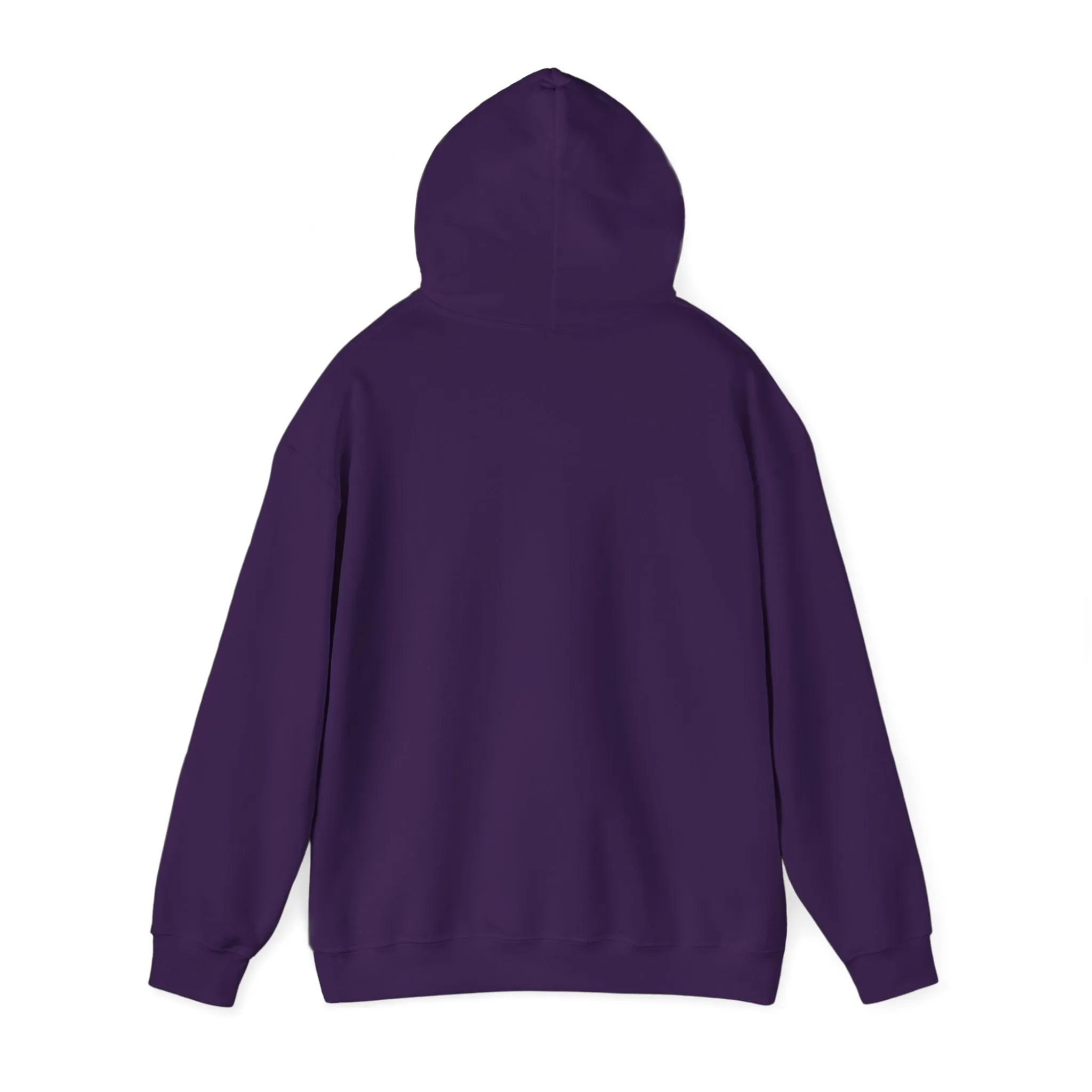 Spirit Said Hoodie