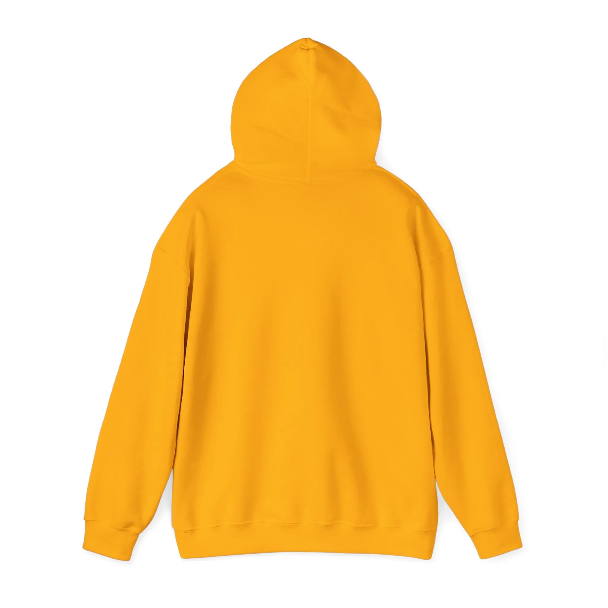 Spirit Said Hoodie