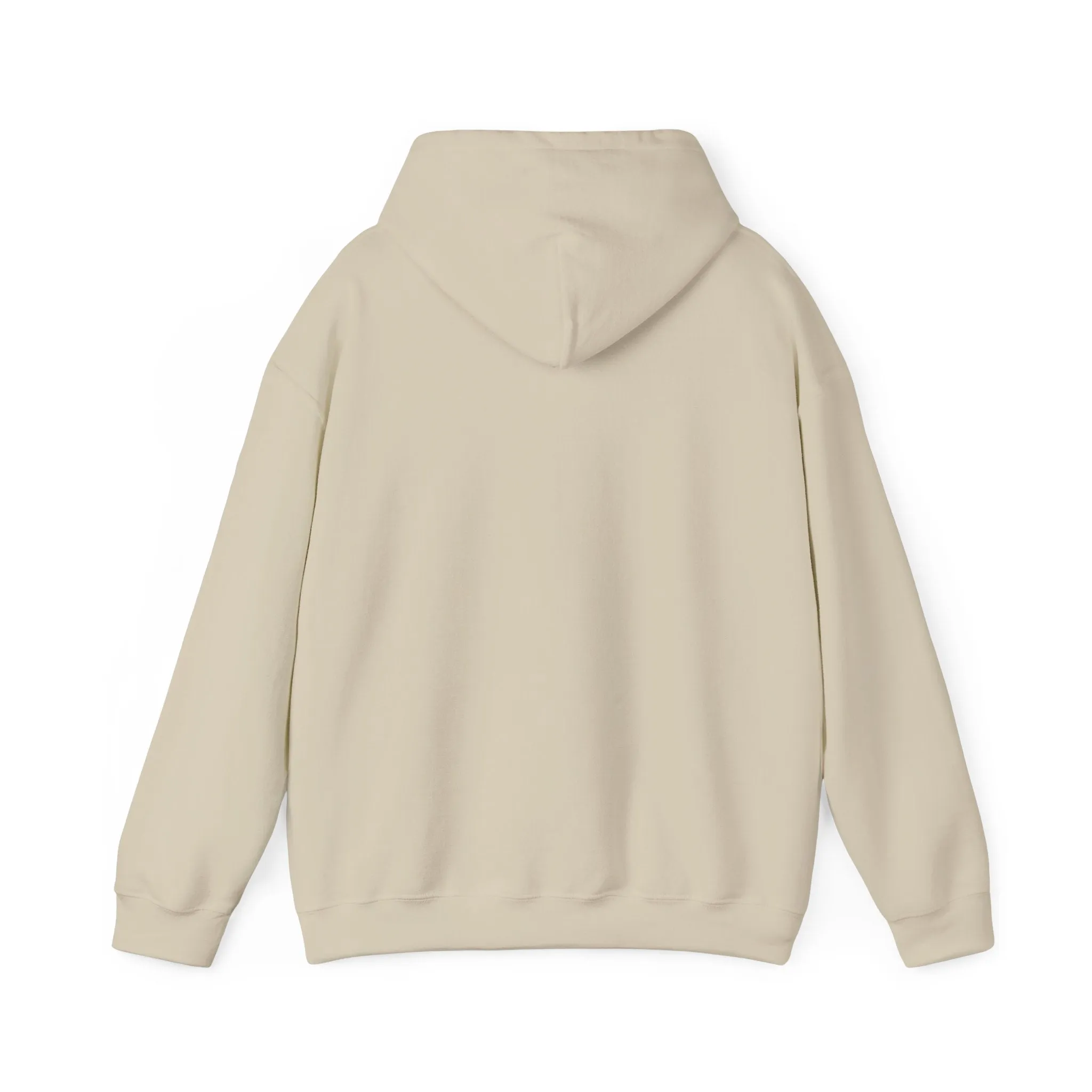 Spirit Said Hoodie