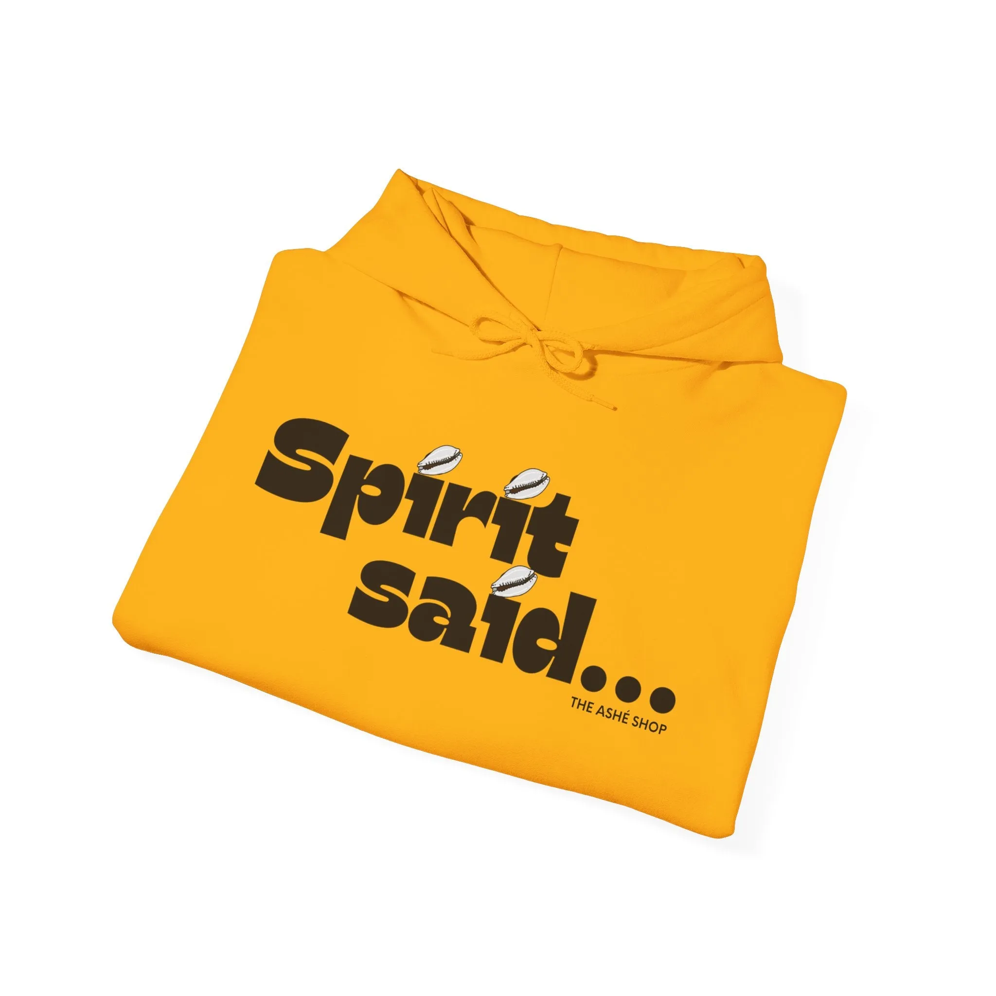 Spirit Said Hoodie