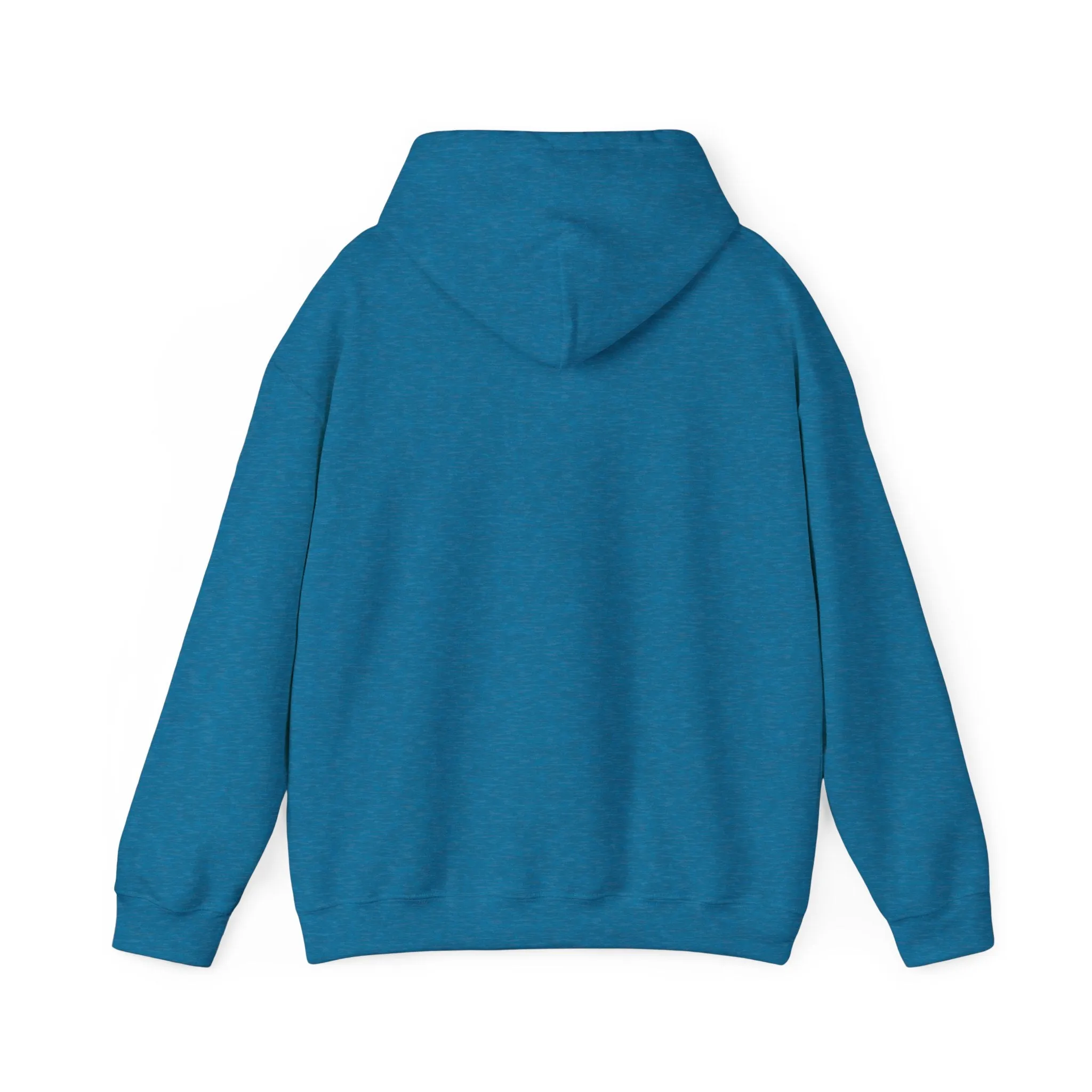 Spirit Said Hoodie