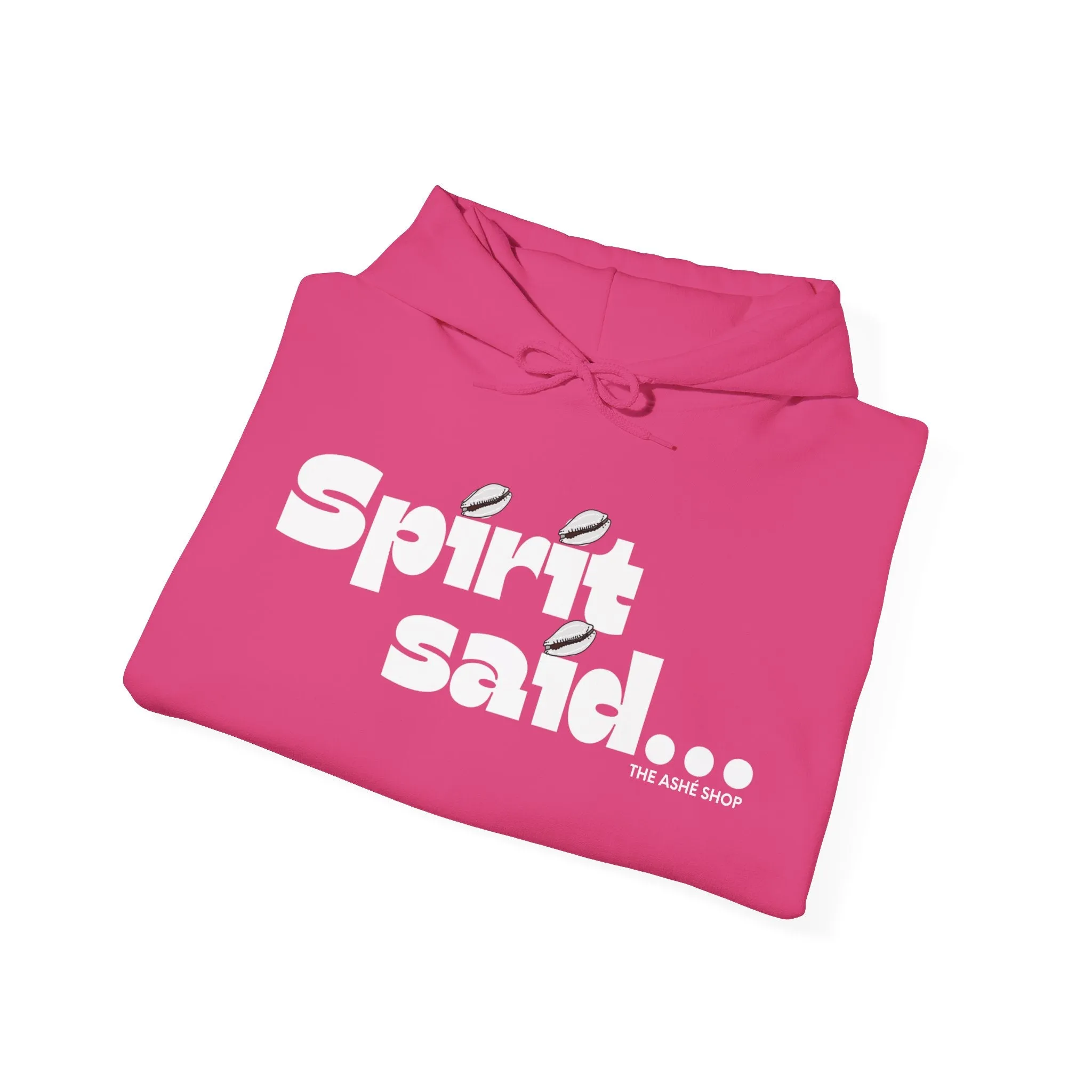 Spirit Said Hoodie