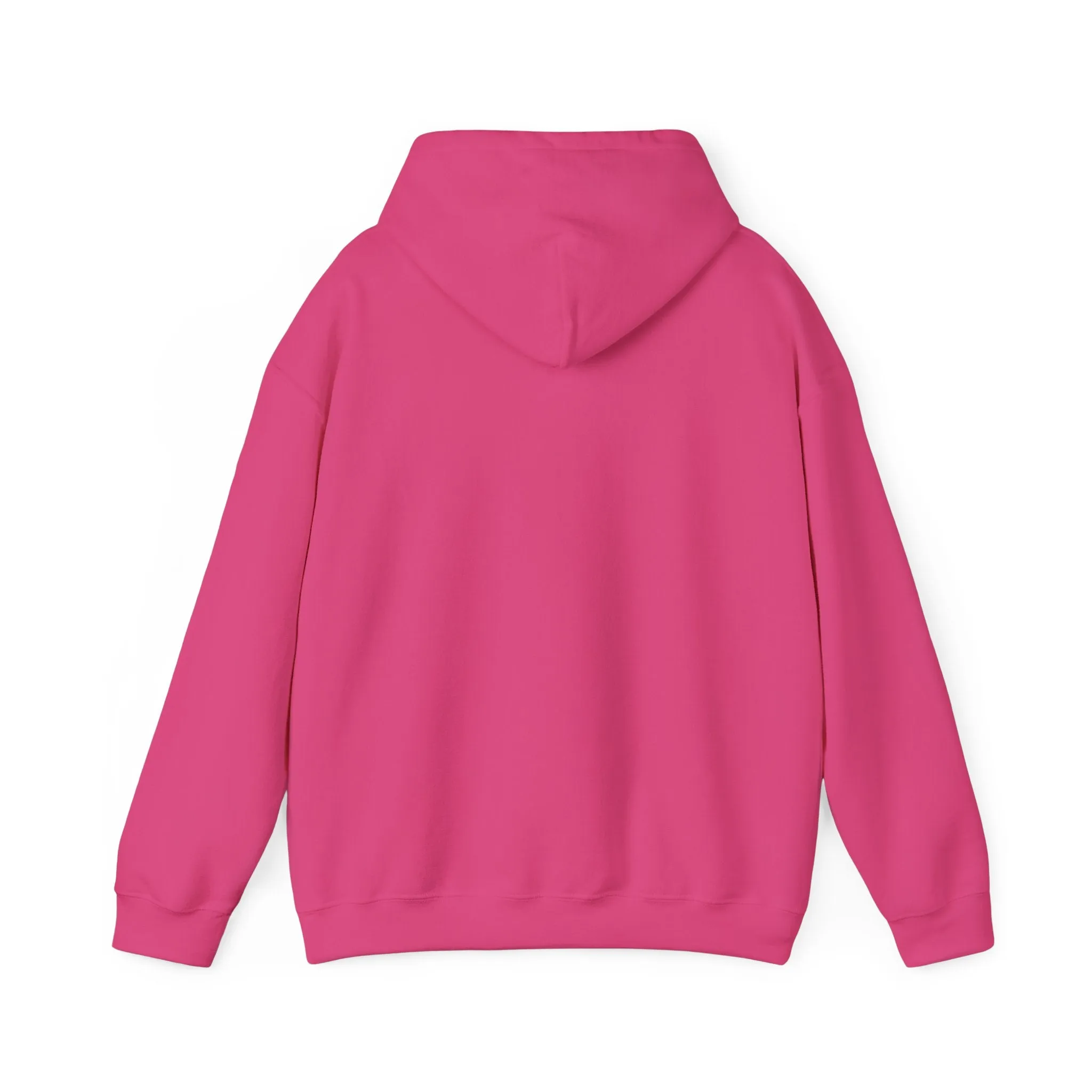 Spirit Said Hoodie