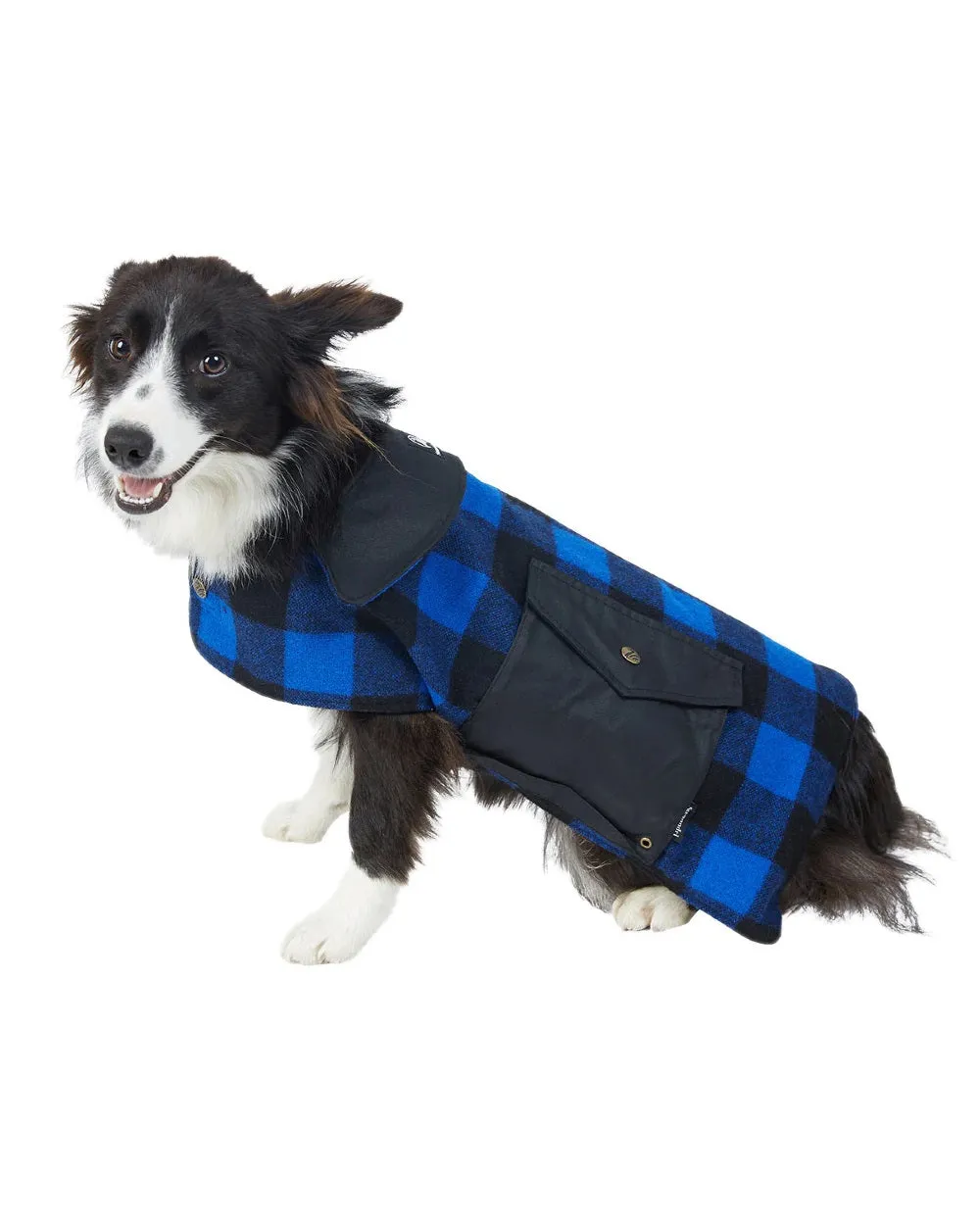 Swanndri Classic Wool Dog Coat