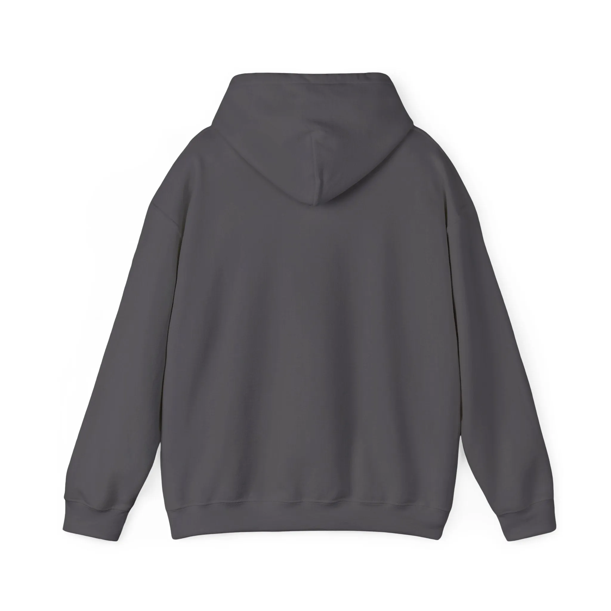 Yac Line Up Hooded Sweatshirt